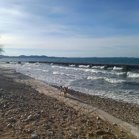 Lägenhet Zadar Beach Apartments *